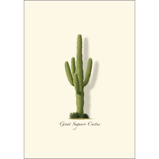 Giant Saguaro image 1