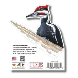 Pileated Woodpecker image 1