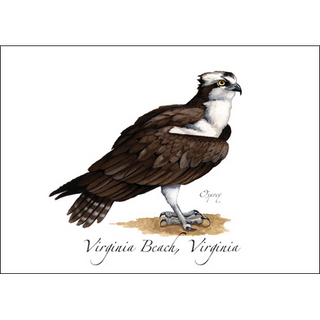 Osprey image 0