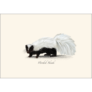 Small Mammal Assortment image 3