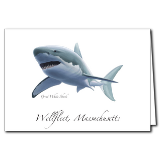 Great White Shark II image 0