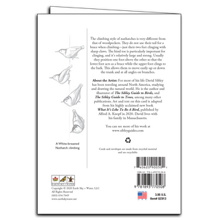 Sibley's Nuthatches image 1