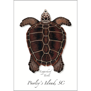 Loggerhead II image 0