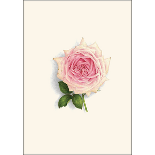 Rose Assortment image 1