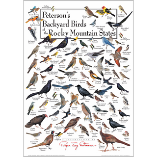 Peterson's Backyard Birds of the Rocky Mtn States - Poster image 0