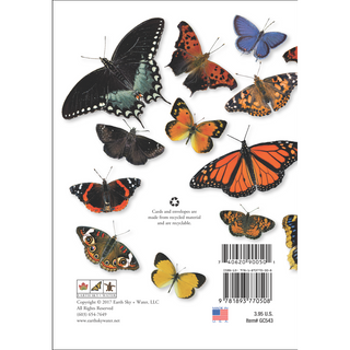 Butterfly Wrap II<br>(namedrop unavailable) image 1