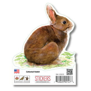 Cottontail Rabbit image 1