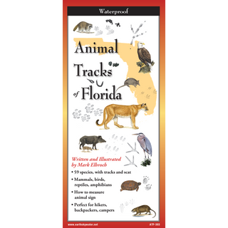 Animal Tracks of Florida image 0