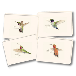 Western Hummingbird  Assortment image 0