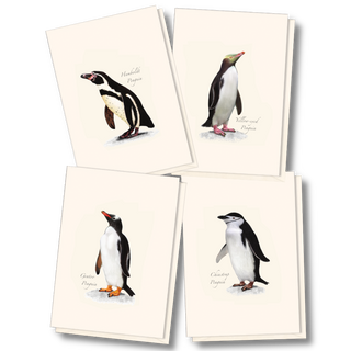 Penguin Assortment image 0