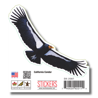 California Condor image 1