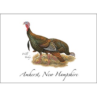 Wild Turkey image 0