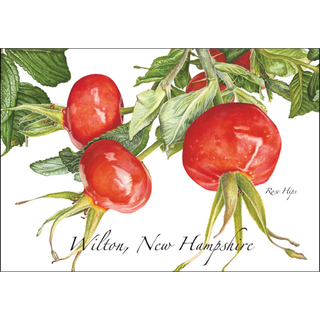 Rose Hips image 0
