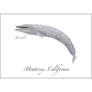 Blue Whale image 0