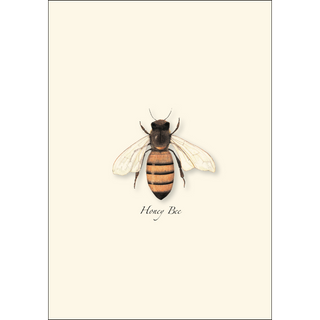 Honey Bee image 1