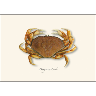 Dungeness Crab image 1