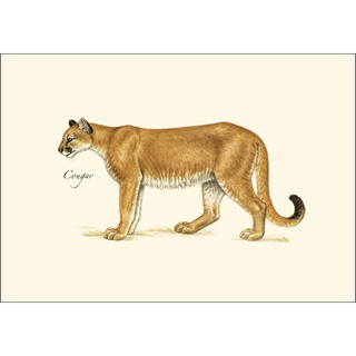 Western Mammal Assortment image 1