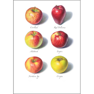 Apples I image 0