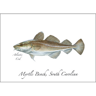 Atlantic Cod image 0