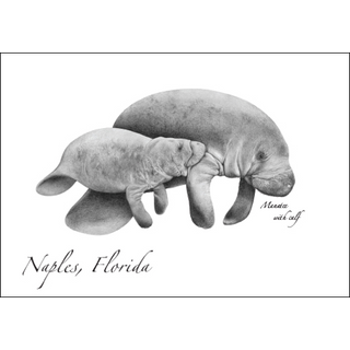 Manatee II image 0