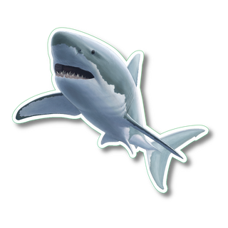 Great White Shark I image 0