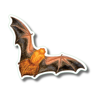 Eastern red bat stickers made in the USA showing a native bat species