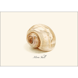 Moon Shell image 1