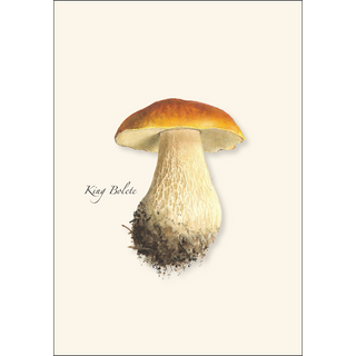 Mushroom Assortment image 3