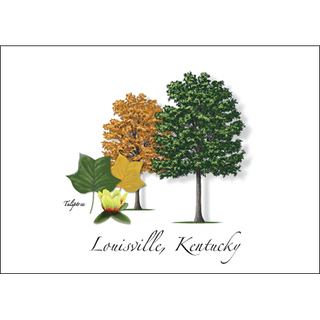 Tuliptree image 0