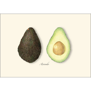 Avocado image 1