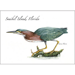 Green Heron image 0