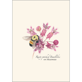 Bumblebee Assortment image 2