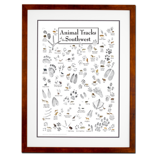 Animal Tracks of Southwest - Double matted honey frame image