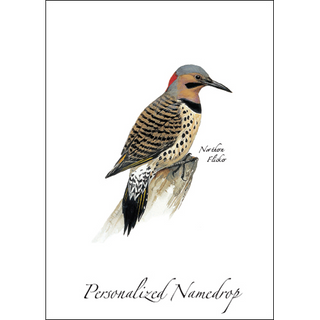 Northern Flicker (yellow) image 0
