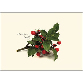 American Holly Assortment image 1