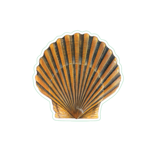 Bay Scallop image 1