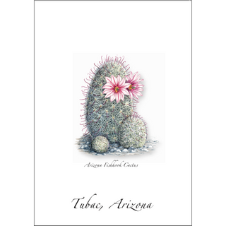 Arizona Fishhook Cactus image 0