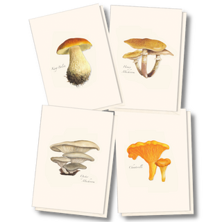Edible mushroom assortment notecards celebrating culinary fungi, made in the USA