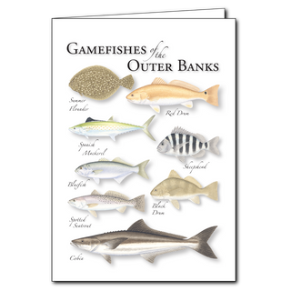 Gamefishes of the Outer Banks - Regional Card image 0