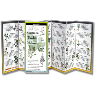 Common Weeds of the Midwest image 1