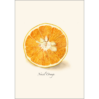 Citrus Assortment image 1