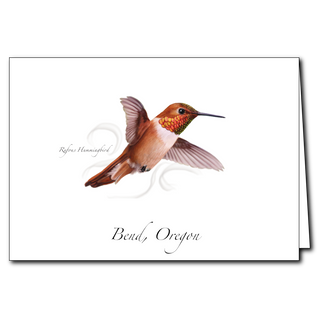 Rufous Hummingbird image 0