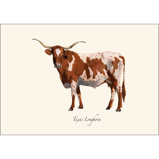 Texas Longhorn image 1