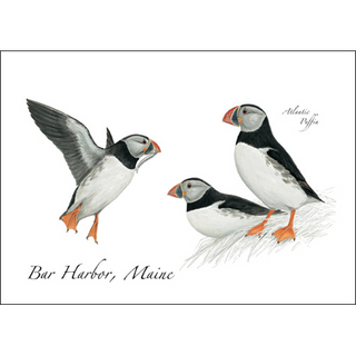 Three Puffins image 0