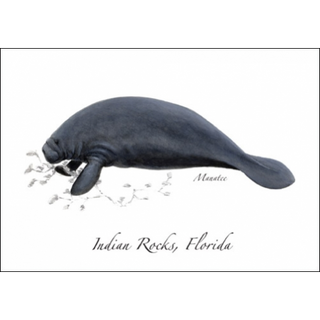 Manatee image 0
