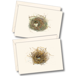 Eggs in nest notecard highlighting nesting behavior, printed on recyclable paper