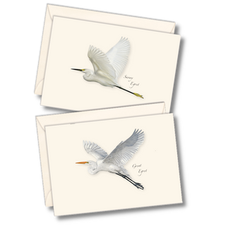 Egret notecard assortment highlighting graceful wetland birds