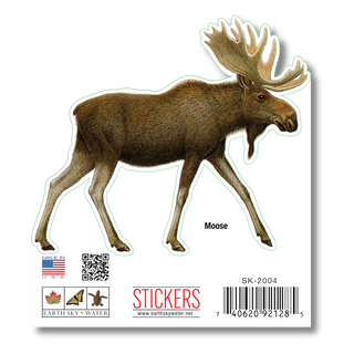 Moose image 1