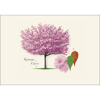 Cherry Tree Assortment image 1