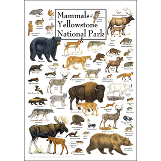 Mammals of Yellowstone National Park - Poster image 0